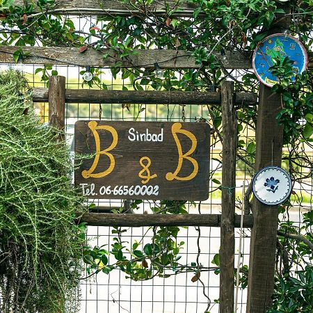 B&B Sinbad La Scialuppa Fregenae Eksteriør billede